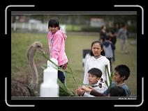IMG_8362 * 900 x 644 * (243KB)