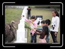 IMG_8364 * 900 x 644 * (270KB)
