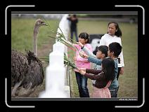 IMG_8367 * 900 x 644 * (271KB)
