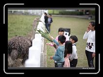 IMG_8368 * 900 x 644 * (284KB)