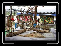 IMG_8381 * 900 x 644 * (292KB)