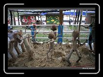 IMG_8382 * 900 x 644 * (287KB)