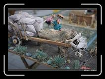 IMG_8388 * 900 x 644 * (261KB)