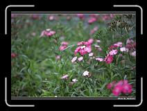 IMG_8392 * 900 x 644 * (291KB)