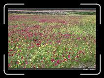 IMG_8399 * 900 x 644 * (299KB)