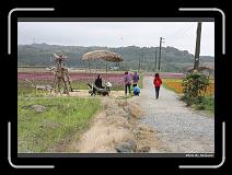 IMG_8400 * 900 x 644 * (288KB)
