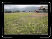 IMG_8408 * 900 x 644 * (299KB)
