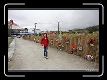IMG_8409 * 900 x 644 * (283KB)