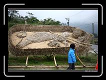 IMG_8416 * 900 x 644 * (292KB)