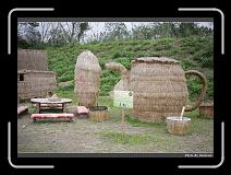 IMG_8419 * 900 x 644 * (293KB)
