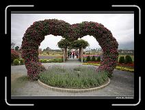 IMG_8420 * 900 x 644 * (299KB)