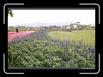 IMG_8421 * 900 x 644 * (292KB)