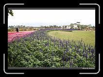 IMG_8422 * 900 x 644 * (298KB)