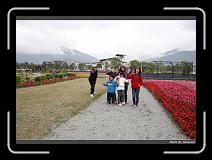 IMG_8425 * 900 x 644 * (287KB)