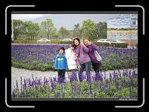 IMG_8431 * 900 x 644 * (289KB)