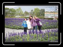 IMG_8432 * 900 x 644 * (297KB)