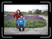 IMG_8433 * 900 x 644 * (299KB)