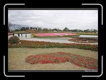 IMG_8436 * 900 x 644 * (288KB)