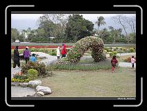IMG_8437 * 900 x 644 * (297KB)