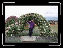 IMG_8439 * 900 x 644 * (291KB)
