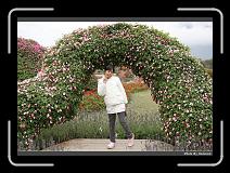 IMG_8440 * 900 x 644 * (294KB)
