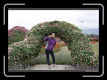 IMG_8443 * 900 x 644 * (290KB)