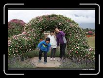 IMG_8445 * 900 x 644 * (293KB)