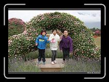 IMG_8447 * 900 x 644 * (299KB)