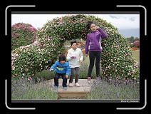 IMG_8448 * 900 x 644 * (298KB)