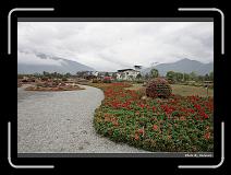 IMG_8449 * 900 x 644 * (286KB)