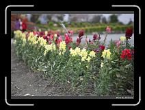 IMG_8451 * 900 x 644 * (279KB)