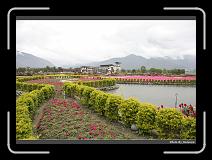 IMG_8452 * 900 x 644 * (286KB)