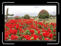 IMG_8456 * 900 x 644 * (287KB)