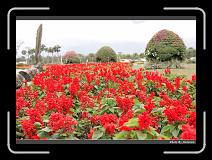 IMG_8458 * 900 x 644 * (295KB)
