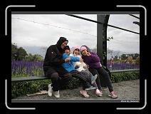 IMG_8462 * 900 x 644 * (291KB)