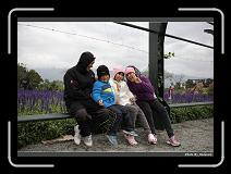 IMG_8463 * 900 x 644 * (296KB)