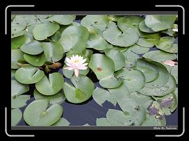 IMG_8675 * 900 x 644 * (270KB)