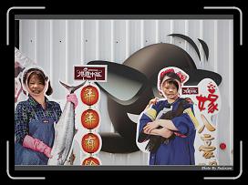 IMG_8717 * 900 x 644 * (261KB)