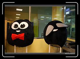 IMG_8727 * 900 x 644 * (283KB)