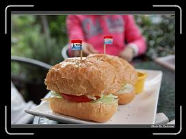 IMG_8779 * 900 x 644 * (280KB)