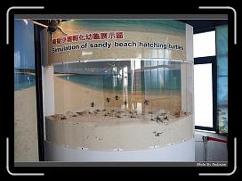 IMG_8851 * 900 x 644 * (295KB)