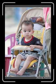 IMG_0390 * 600 x 966 * (297KB)