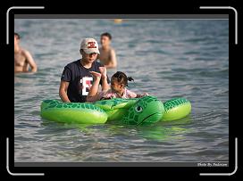 IMG_0452 * 900 x 643 * (270KB)