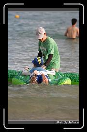 IMG_0510 * 599 x 966 * (260KB)