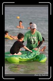 IMG_0522 * 599 x 966 * (273KB)