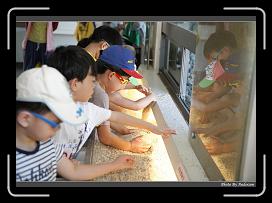 IMG_0593 * 900 x 644 * (286KB)