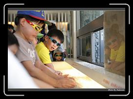 IMG_0595 * 900 x 644 * (275KB)