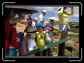 IMG_0604 * 900 x 644 * (289KB)