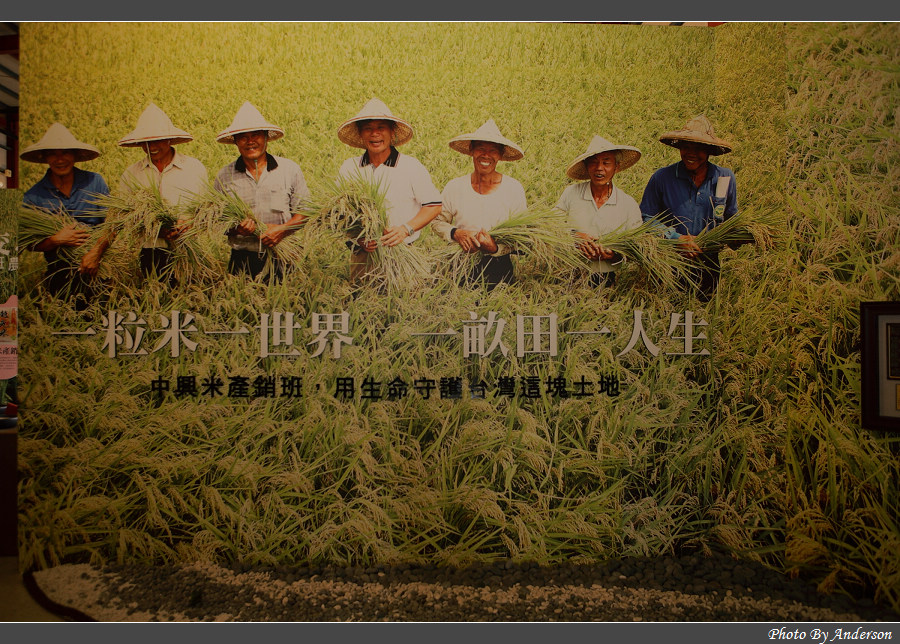 下一張幻燈片