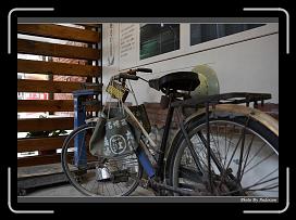IMG_9131 * 900 x 644 * (281KB)